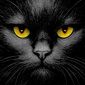 The Black Cat